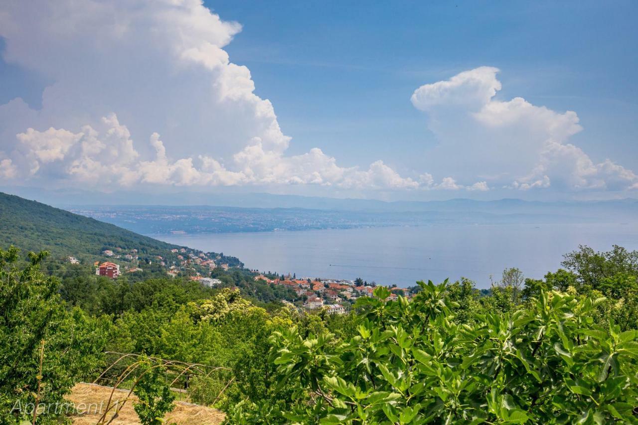 Apartments Rumac Opatija Exterior photo